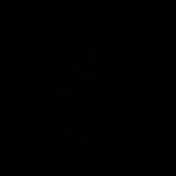 Meet your Posher, Alexa - Picture 1 of 1